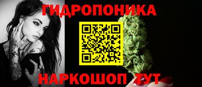 гашик Ливны