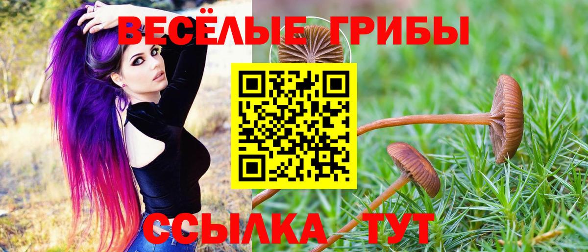 Псилоцибиновые грибы MAGIC MUSHROOMS Камень-на-Оби