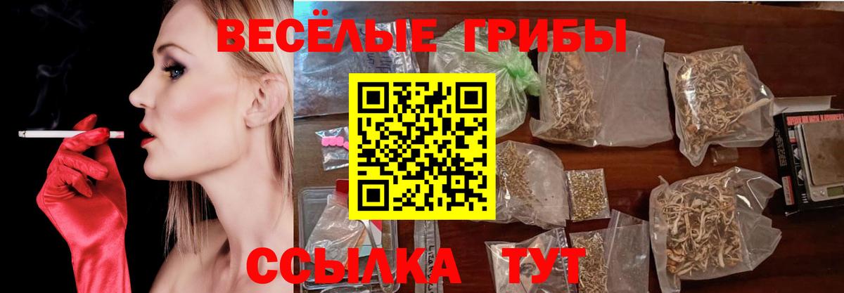 Псилоцибиновые грибы прущие грибы  Вход с VPN  Камень-на-Оби 